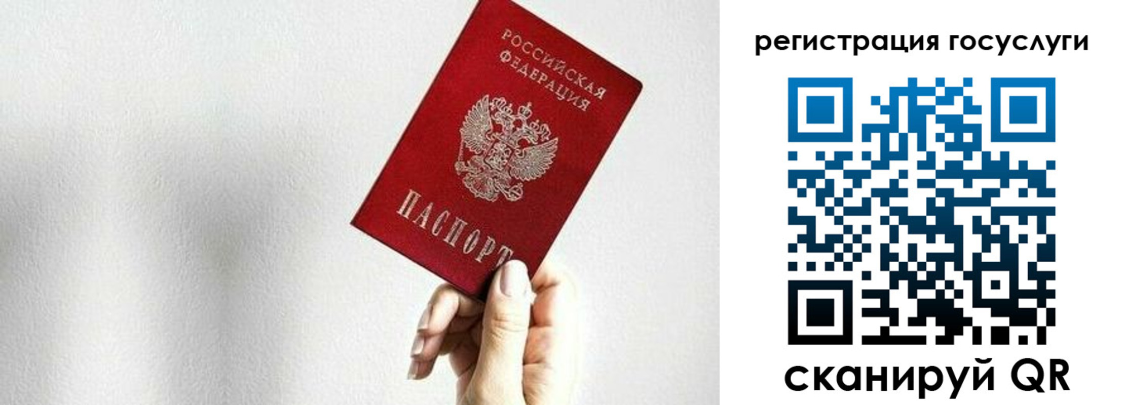 прописка гарантия в Каргате